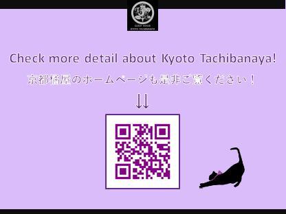 Kyoto Tachibanaya Nijojo North Villa Екстериор снимка